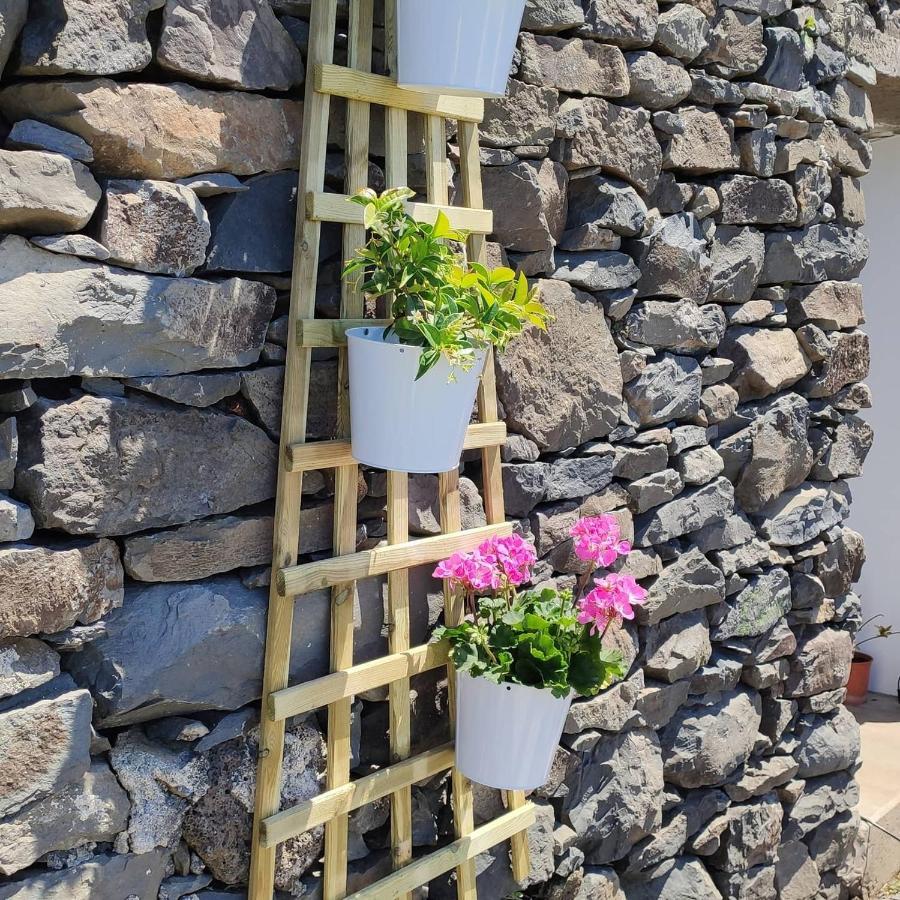 Calheta Glamping Pods - Nature Retreat Bagian luar foto