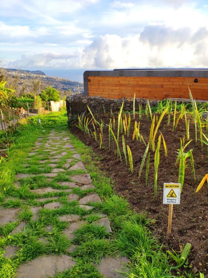 Calheta Glamping Pods - Nature Retreat Bagian luar foto